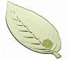 САЛАТНИК 280*120ММ LEAF TRAY 