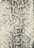 КОВЕР 0,8*1,5 CHALON